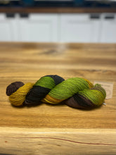 Load image into Gallery viewer, Custom Hand-Painted Yarn (choose your colours!)