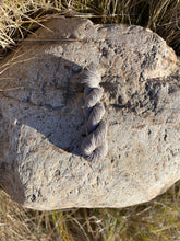 Load image into Gallery viewer, Custom Hand-Painted Yarn (choose your colours!)