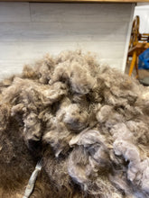 Load image into Gallery viewer, Raw Qiviut Fibre (by the gram)