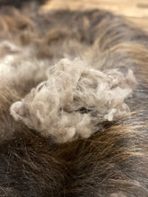 Load image into Gallery viewer, Raw Qiviut Fibre (by the gram)