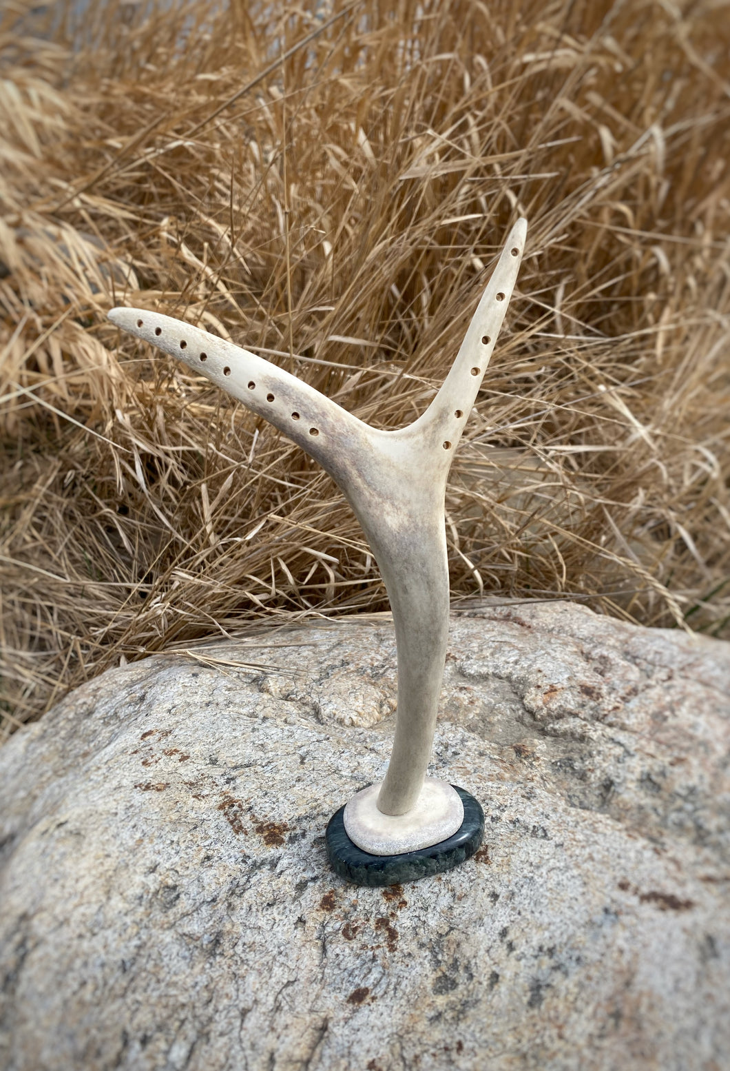 Caribou Antler Jewelry Stand
