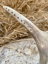 Load image into Gallery viewer, Caribou Antler Jewelry Stand
