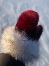 Load image into Gallery viewer, Red Sealskin Mitts with fox trim
