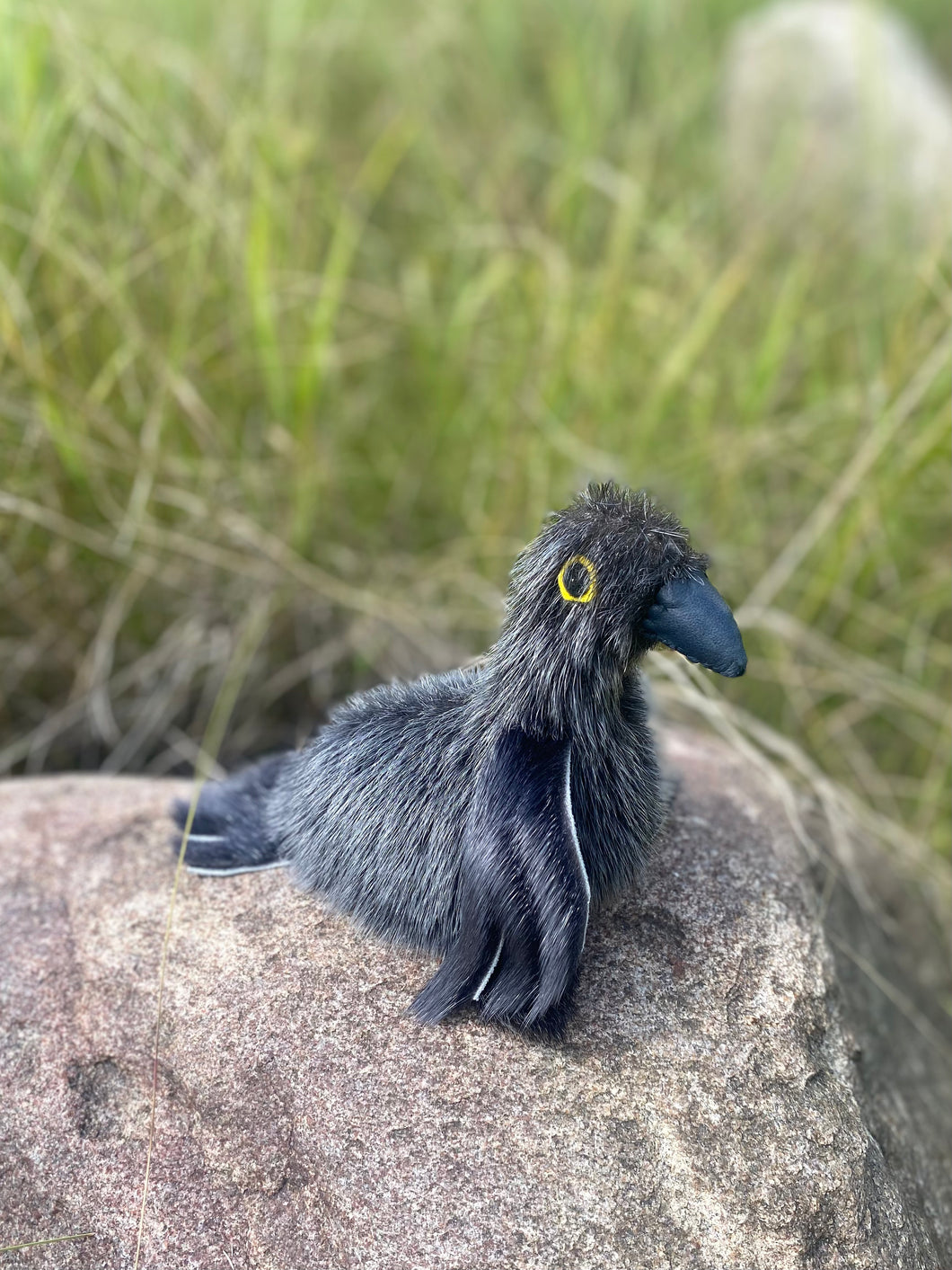 Sealskin Raven